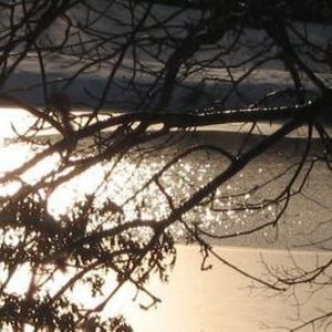 Meet your Posher, Nora